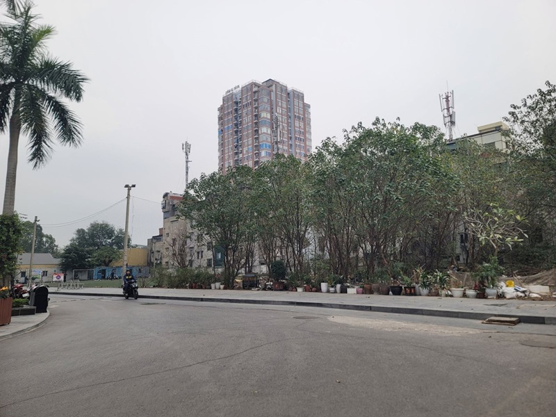 Thách thức và lưu ý cho người mua