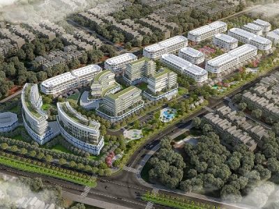 Tổng quan dự án