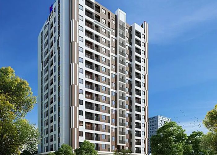 Tổng quan dự án